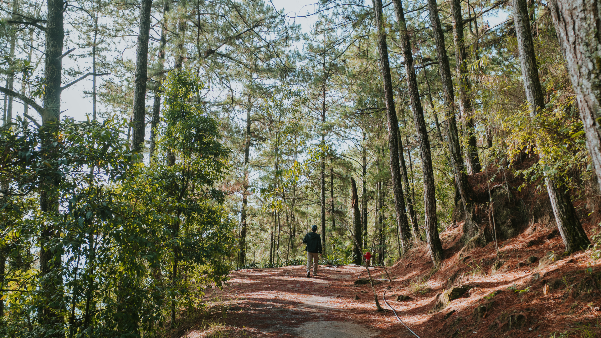 How to Explore Like an Environmental Advocate