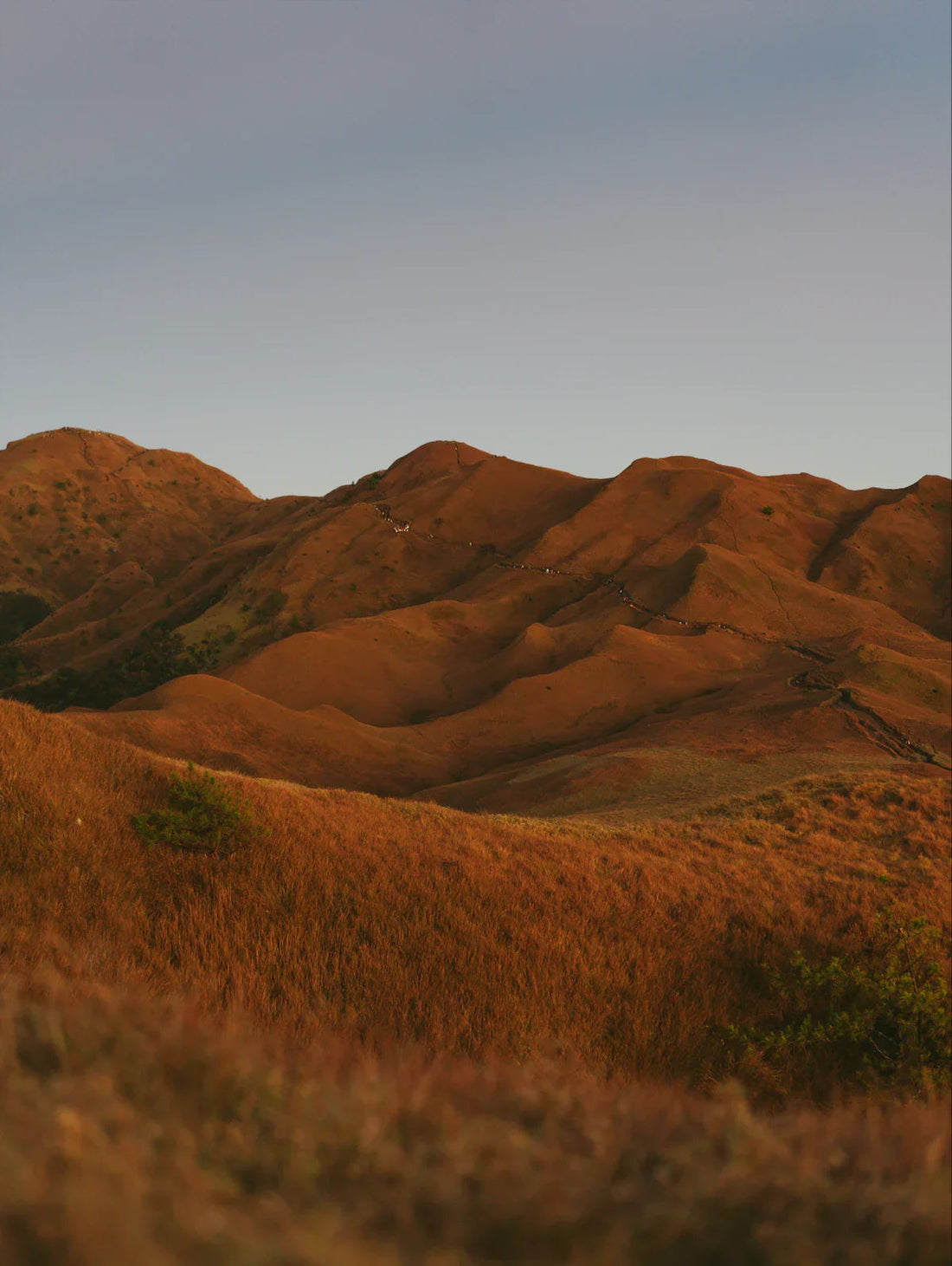 March of Hundreds of Orbs to Pulag